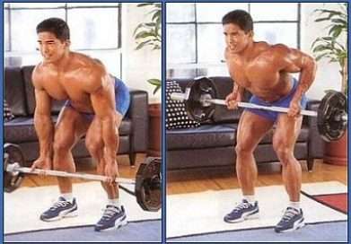 Bent over row