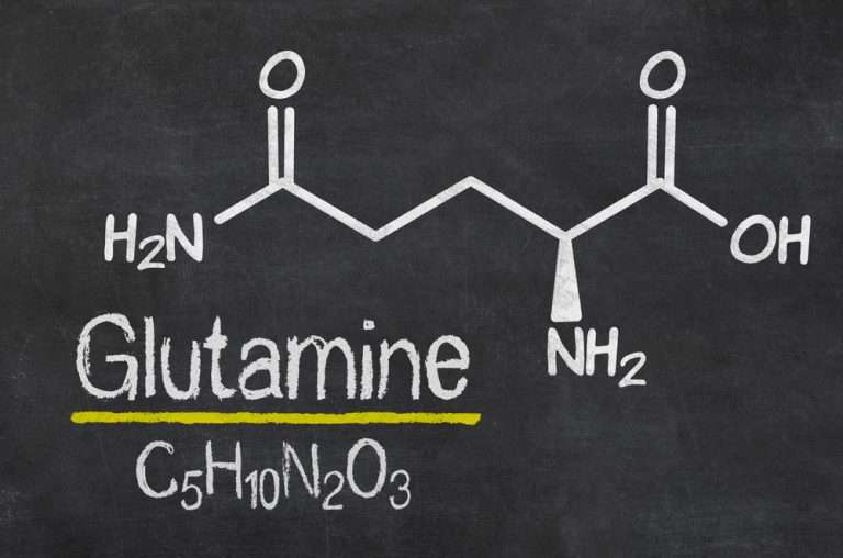 Glutamine en de rol ervan in het lichaam