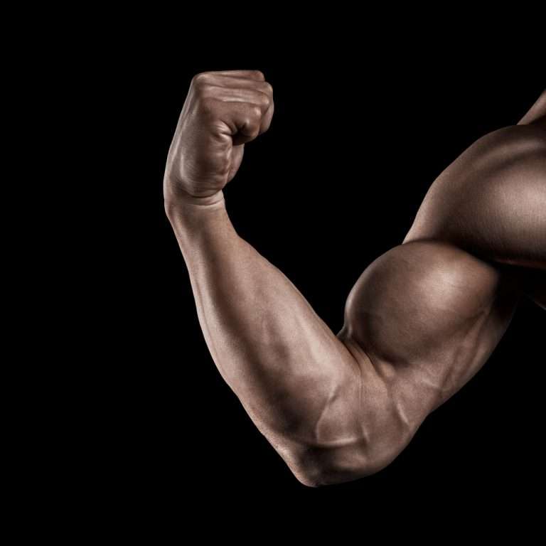 Tips voor het trainen van de biceps