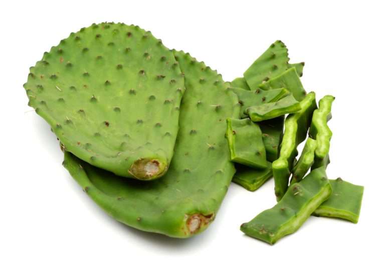 De rol van cactus in gewichtsverlies